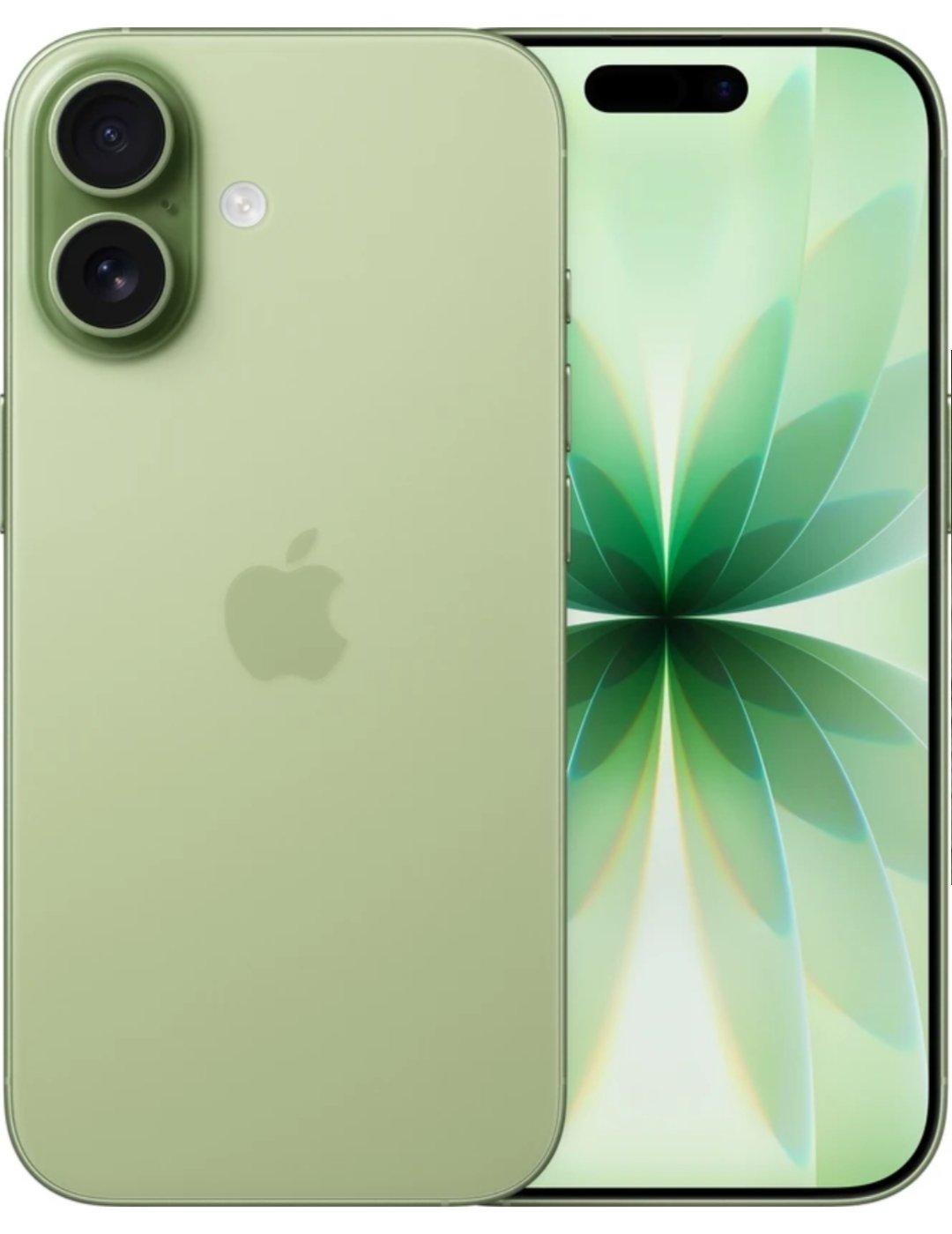 ₹82,900 Apple iPhone 17 (256 GB) – Sage | A19 Chip, 48MP Dual Camera