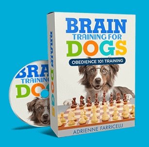 $67 Brain Training for Dogs Course for Better Focused Home Training
