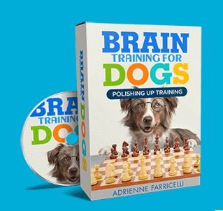 $67 Brain Training for Dogs Course for Better Focused Home Training