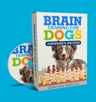 $67 Brain Training for Dogs Course for Better Focused Home Training