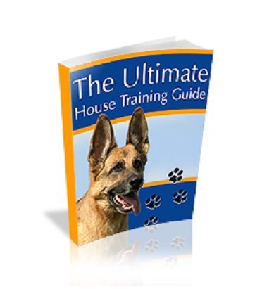 $99.95 Dog Training Mastery Course for Better Behavior at Home