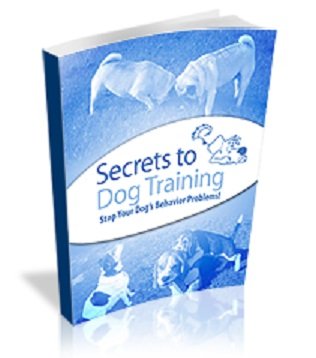 $99.95 Dog Training Mastery Course for Better Behavior at Home