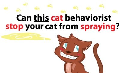 $37 Cat Spray Stop Guide for Cats Marking Territory Indoors