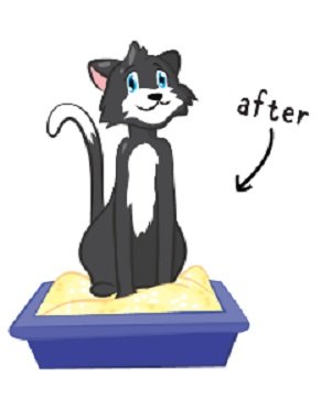 $37 Cat Spray Stop Guide for Cats Marking Territory Indoors